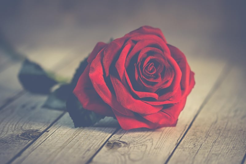 Flower Subscription Service